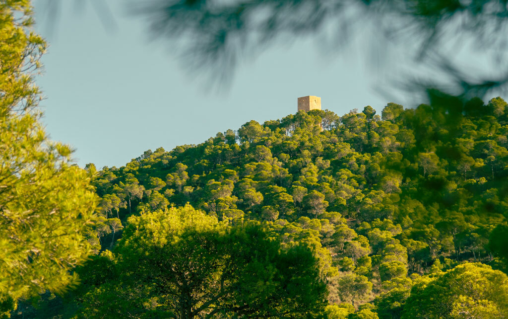 La torre del Aguiló en Benidorm 