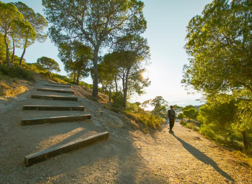 Ruta hacia la Torre del Aguiló 