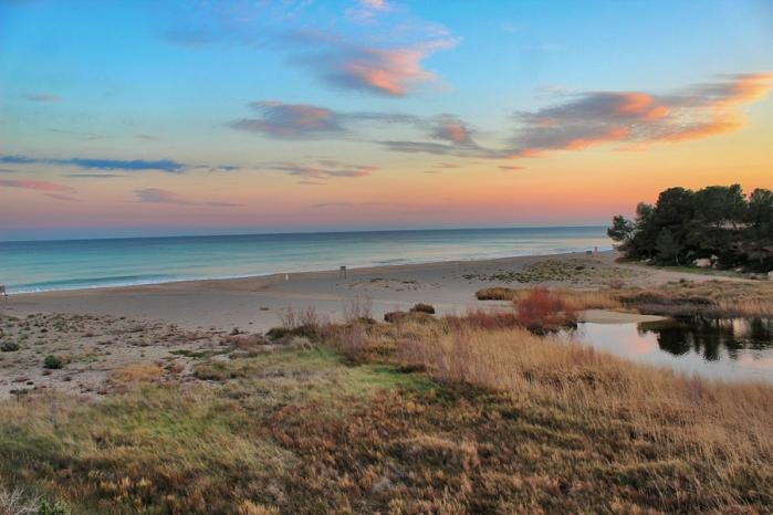 Platja Llarga de l'estany 