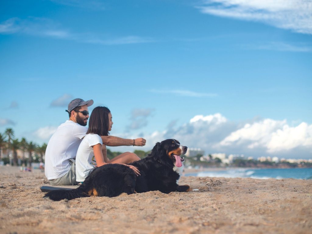 La playa Canina de Punta del Riu 